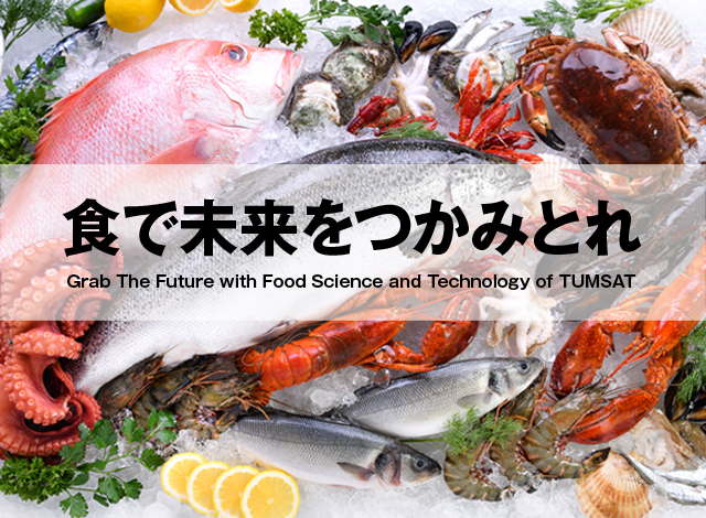 食品生産科学科公式hp 国立大学法人 東京海洋大学 海洋生命科学部 Food Science And Technology Tokyo University Of Marine Science And Technology
